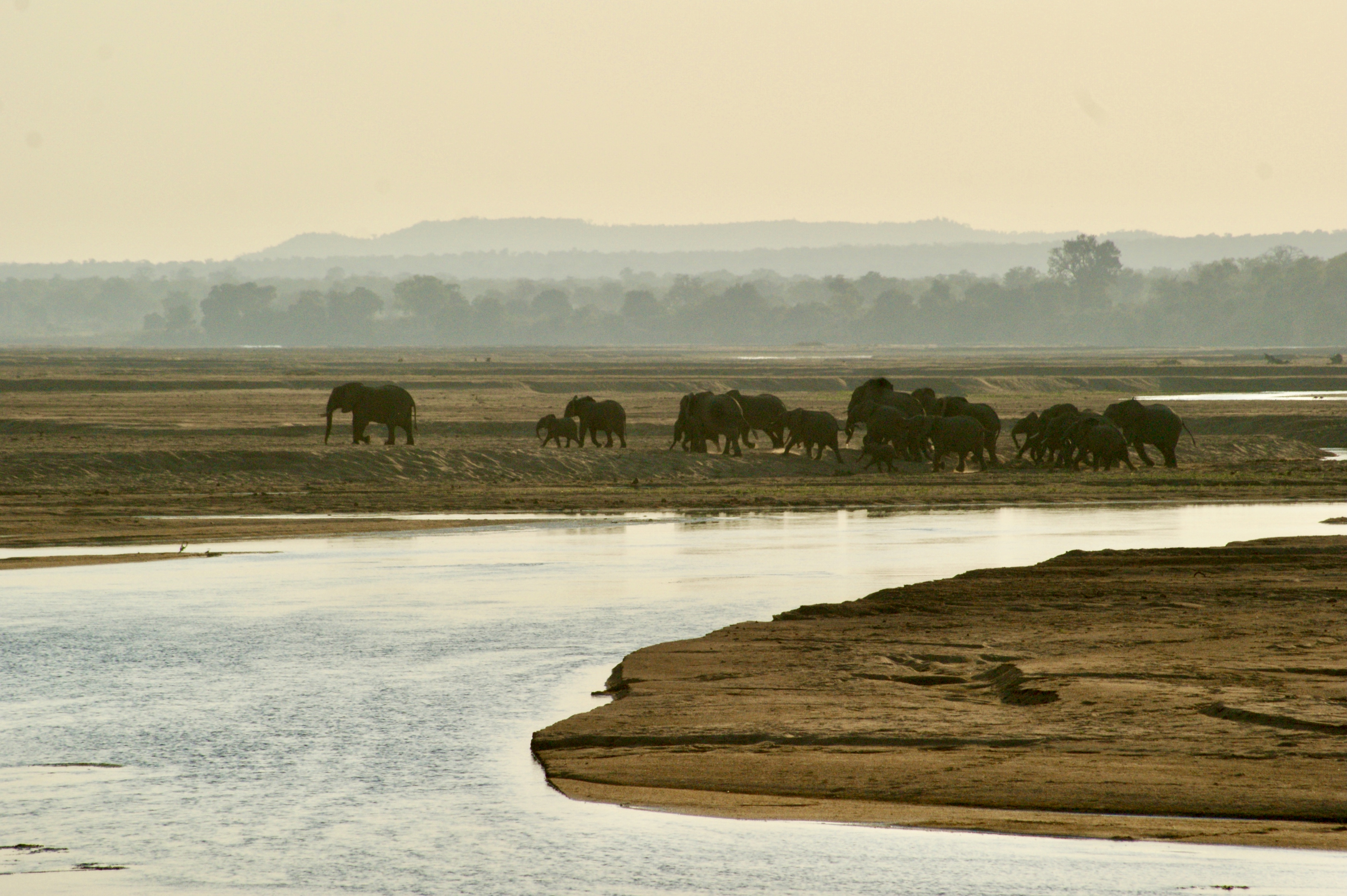 DAYS 16–19 – GONAREZHOU – REMOTE WILDERNESS