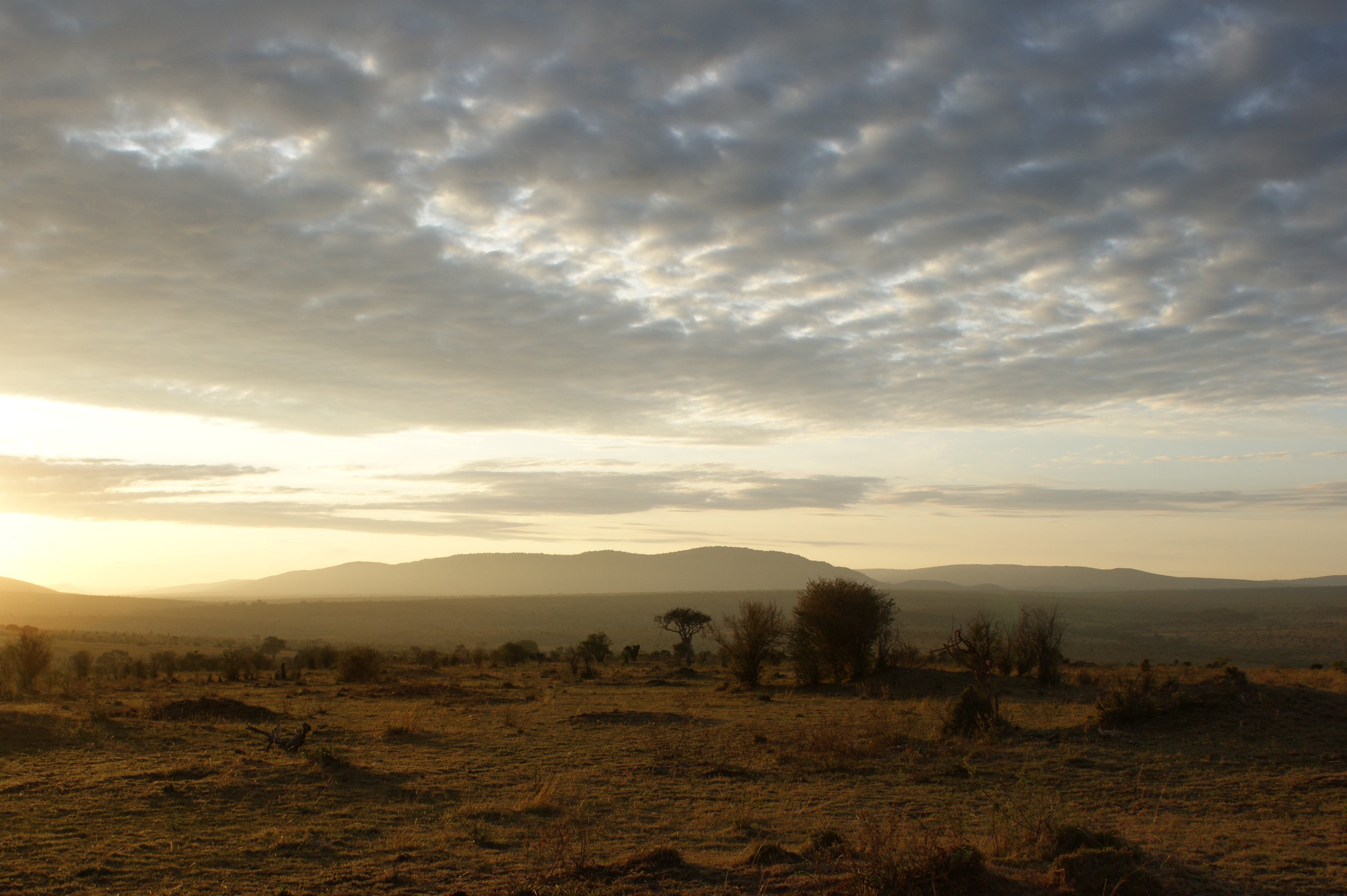 DAYS 14–15 – MATOBO – GRANITE HILLS AND CULTURAL HERITAGE