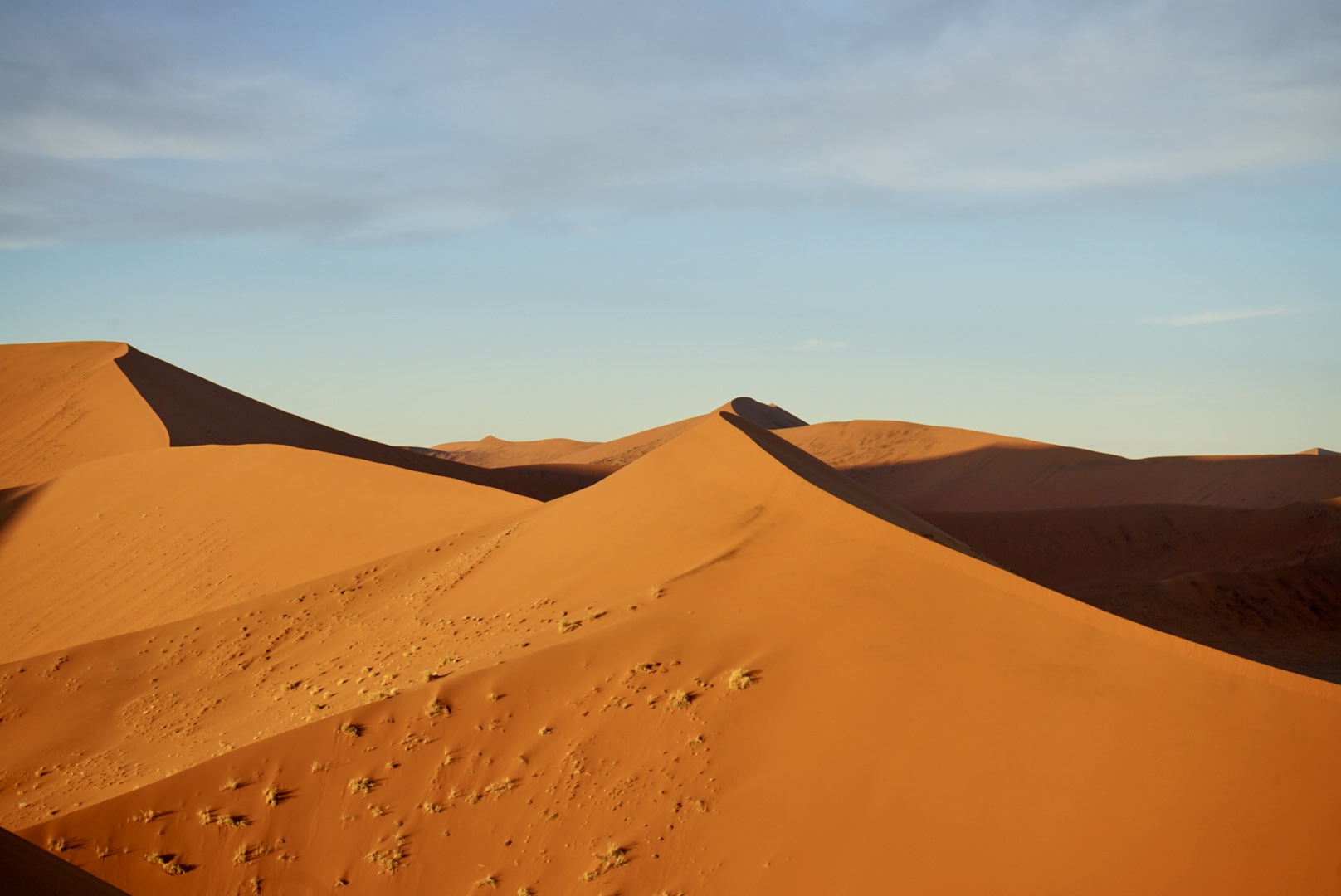 Namibia safari landscape