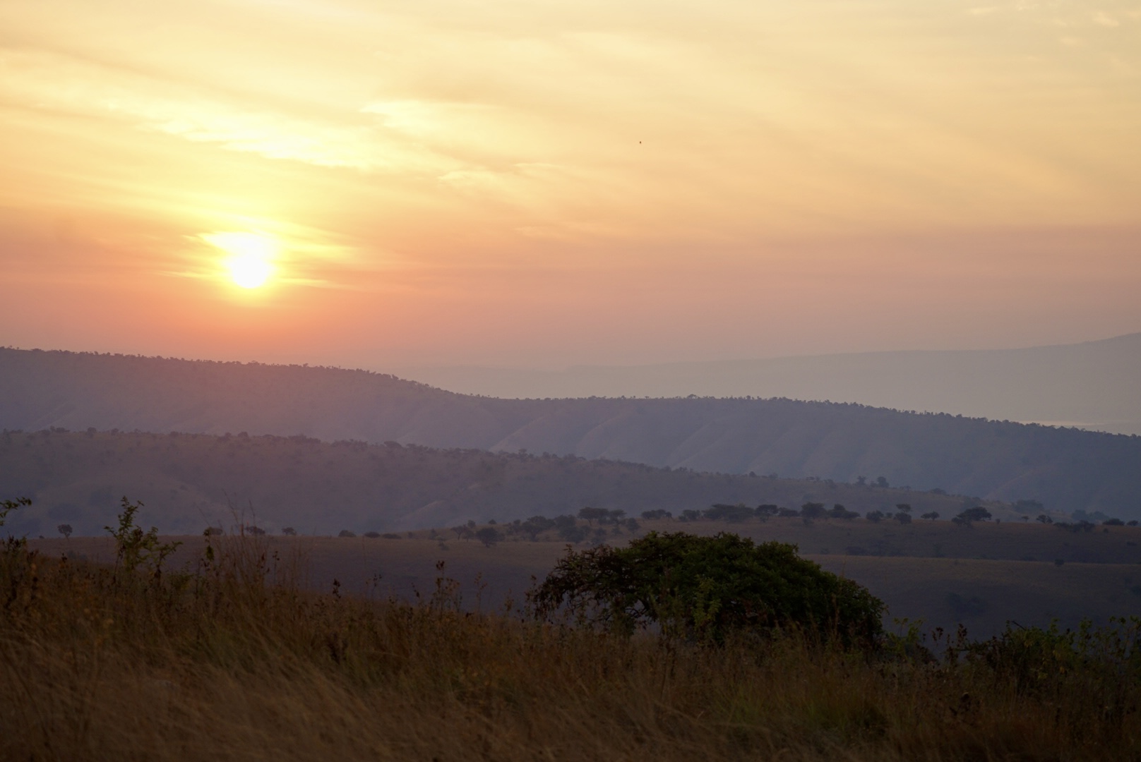 Rwanda safari landscape